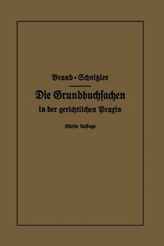 Kniha Die Grundbuchsachen in Der Gerichtlichen Praxis Arthur Brand