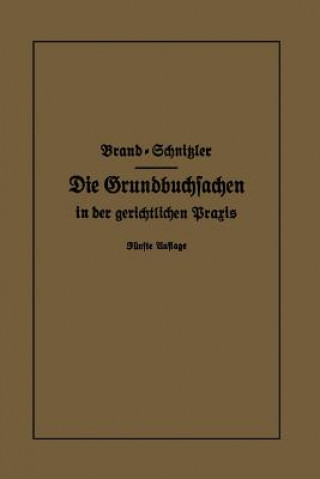 Buch Die Grundbuchsachen in Der Gerichtlichen Praxis Arthur Brand