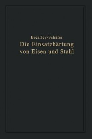 Kniha Die Einsatzh rtung Von Eisen Und Stahl Rudolf Schäfer