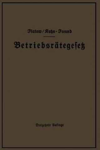 Knjiga Betriebsr tegesetz Vom 4. Februar 1920 Nebst Wahlordnung, Ausf hrungsverordnungen Und Erg nzungsgesetzen (Betriebsbilanzgesetz, Aufsichtsratsgesetz Un Georg Flatow