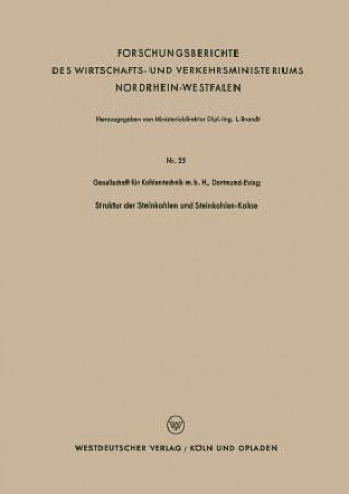 Książka Struktur Der Steinkohlen Und Steinkohlen-Kokse 