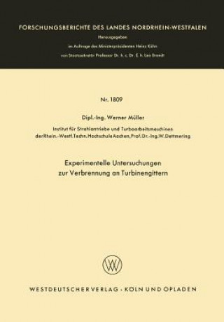 Kniha Experimentelle Untersuchungen Zur Verbrennung an Turbinengittern Werner Müller