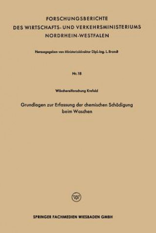 Könyv Grundlagen Zur Erfassung Der Chemischen Sch digung Beim Waschen Leo Brandt