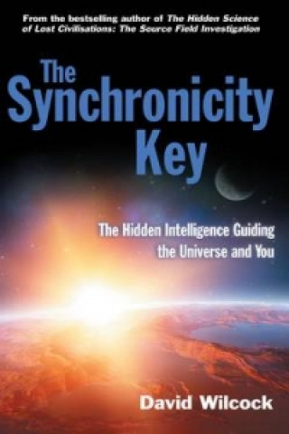Книга Synchronicity Key David Wilcock