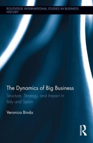 Kniha Dynamics of Big Business Veronica Binda