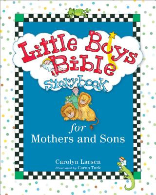 Buch Little Boys Bible Storybook for Mothers and Sons Carolyn Larsen