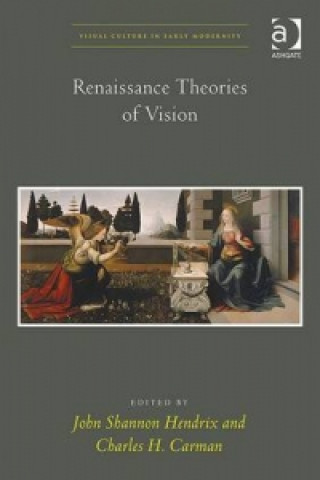 Kniha Renaissance Theories of Vision John Hendrix