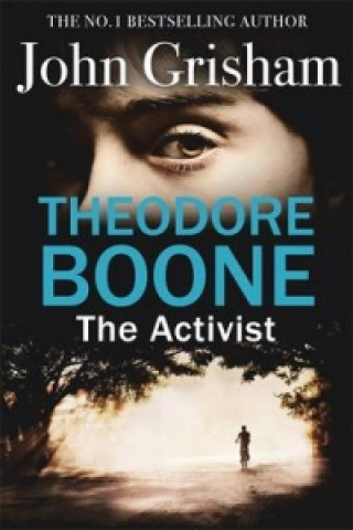 Книга Theodore Boone: The Activist John Grisham