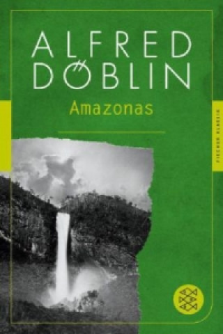 Kniha Amazonas Alfred Döblin