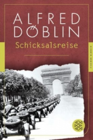 Kniha Schicksalsreise Alfred Döblin
