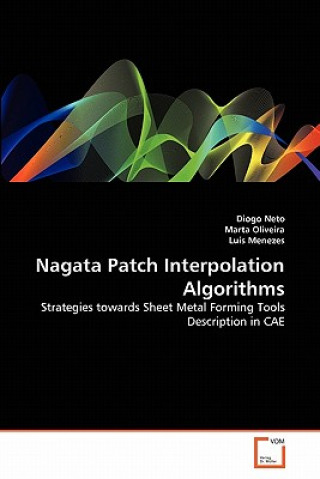 Kniha Nagata Patch Interpolation Algorithms Diogo Neto