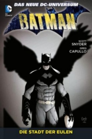 Könyv Batman - Die Stadt der Eulen Scott Snyder