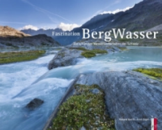 Livre Faszination BergWasser Roland Gerth