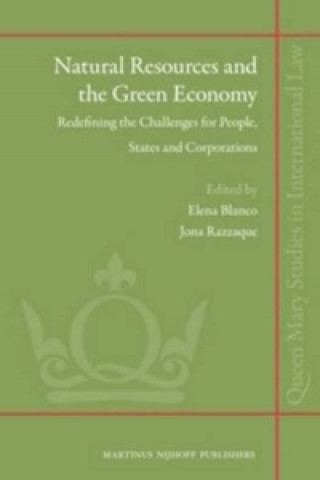 Kniha Natural Resources and the Green Economy Elena Blanco
