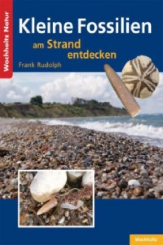 Kniha Kleine Fossilien am Strand entdecken Frank Rudolph