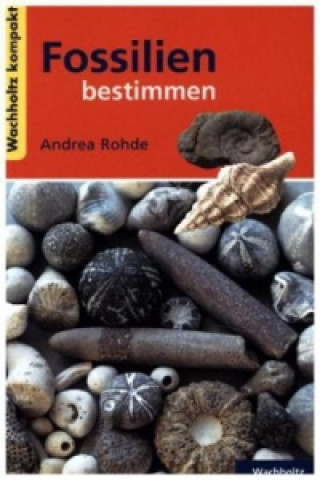 Kniha Fossilien bestimmen KOMPAKT Andrea Rohde