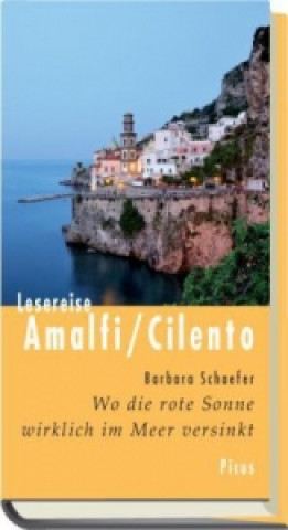 Kniha Lesereise Amalfi/Cilento Barbara Schaefer