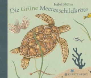 Knjiga Die Grüne Meeresschildkröte Isabel Müller