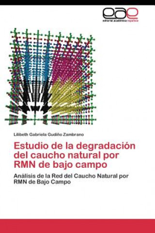 Könyv Estudio de la degradacion del caucho natural por RMN de bajo campo Lilibeth Gabriela Gudi