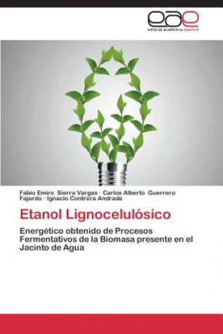 Kniha Etanol Lignocelulosico Fabio Emiro Sierra Vargas
