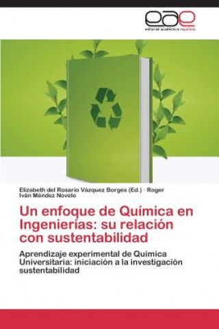 Könyv Enfoque de Quimica En Ingenierias Roger Iván Méndez Novelo