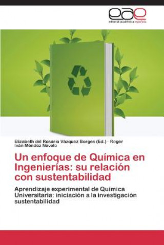 Libro Enfoque de Quimica En Ingenierias Roger Iván Méndez Novelo