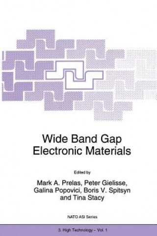 Könyv Wide Band Gap Electronic Materials, 1 Mark A. Prelas