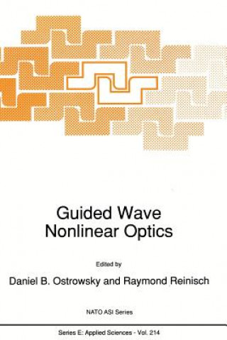 Könyv Guided Wave Nonlinear Optics D.B. Ostrowsky