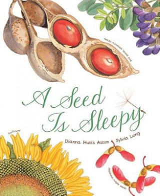 Kniha Seed Is Sleepy Dianna Aston