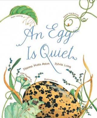 Könyv Egg Is Quiet Dianna Aston