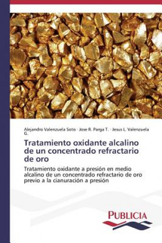 Könyv Tratamiento oxidante alcalino de un concentrado refractario de oro Alejandro Valenzuela Soto