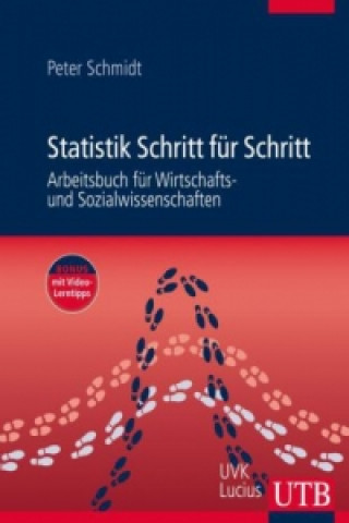 Kniha Statistik schrittweise verstehen Peter Schmidt
