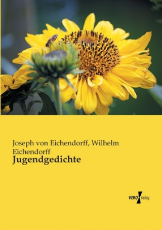 Kniha Jugendgedichte Joseph von Eichendorff