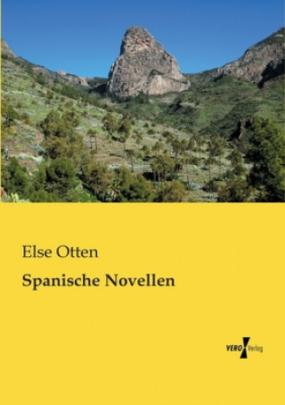 Buch Spanische Novellen Else Otten