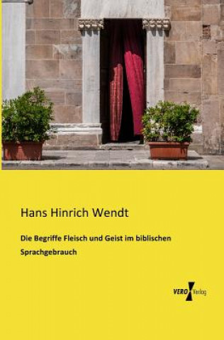 Kniha Begriffe Fleisch und Geist im biblischen Sprachgebrauch Hans Hinrich Wendt