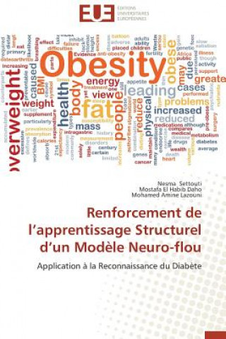 Könyv Renforcement de L Apprentissage Structurel D Un Mod le Neuro-Flou Nesma SETTOUTI