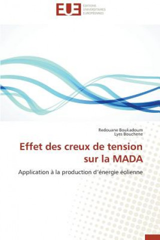 Buch Effet Des Creux de Tension Sur La Mada Redouane Boukadoum