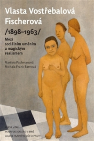 Carte Vlasta Vostřebalová Fischerová (1898-1963) Michala Frank Barnová