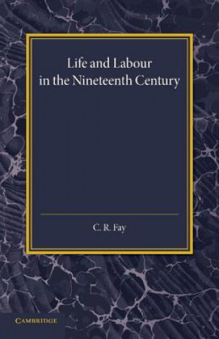 Książka Life and Labour in the Nineteenth Century C. R. Fay