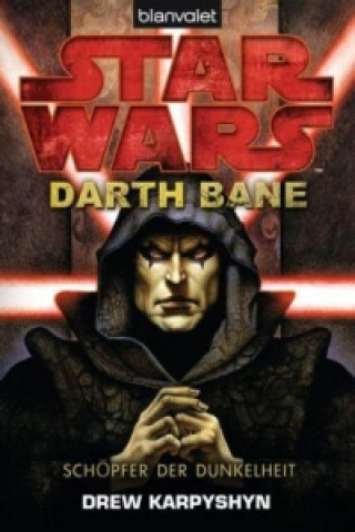 Könyv Star Wars, Darth Bane - Schöpfer der Dunkelheit Drew Karpyshyn