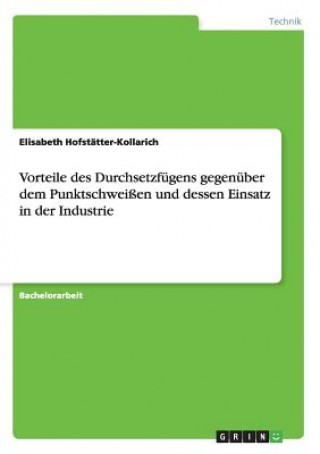 Könyv Vorteile des Durchsetzfugens gegenuber dem Punktschweissen und dessen Einsatz in der Industrie Elisabeth Hofstätter-Kollarich