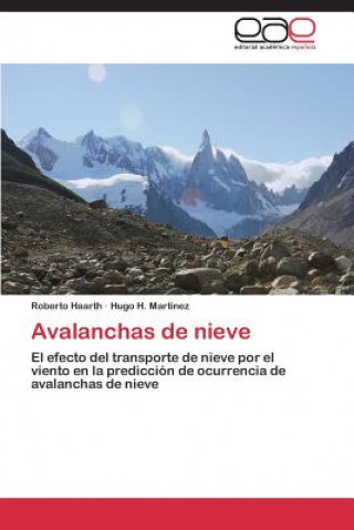Könyv Avalanchas de nieve Roberto Haarth
