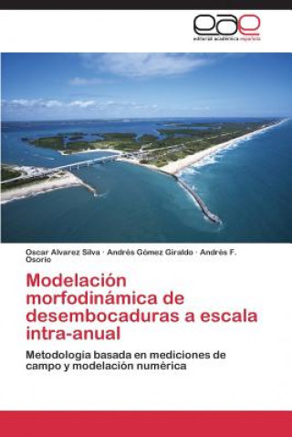 Könyv Modelacion morfodinamica de desembocaduras a escala intra-anual Oscar Alvarez Silva