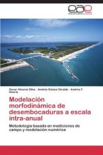 Könyv Modelacion morfodinamica de desembocaduras a escala intra-anual Oscar Alvarez Silva