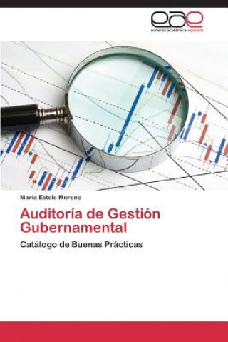 Könyv Auditoria de Gestion Gubernamental María Estela Moreno