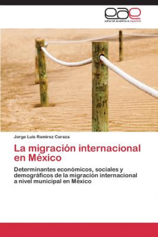 Carte Migracion Internacional En Mexico Jorge Luis Ramírez Caraza