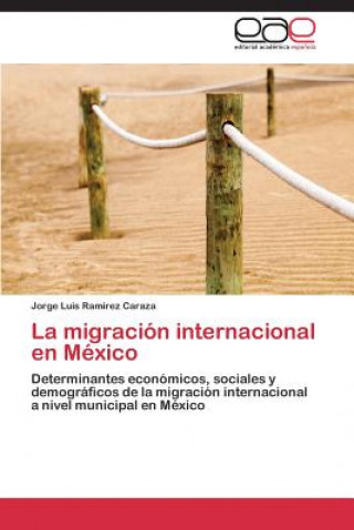 Książka Migracion Internacional En Mexico Jorge Luis Ramírez Caraza