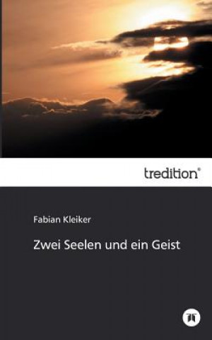 Buch Zwei Seelen und ein Geist Fabian Kleiker