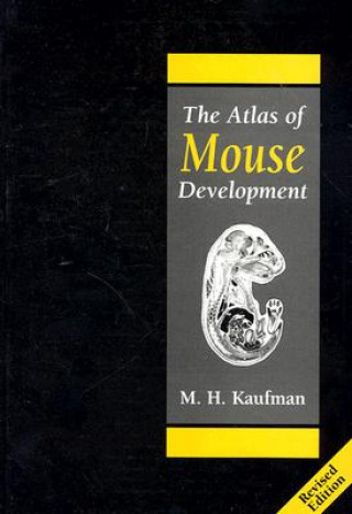 Książka Atlas of Mouse Development Matthew H. Kaufman