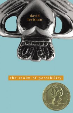 Kniha Realm of Possibility David Levithan